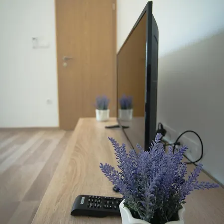 Slapovi Apartment *